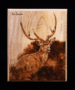 Spotted Deer Sri Lanka / Wild Animal Sri Lanka / Wood Burn Art / Pyrography / GGSD - 00029