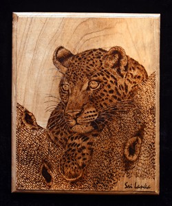 panthera pardus kotiya / Sri Lankan Leopard / Wood Burn Art / Pyrography / GGPPK - 00028