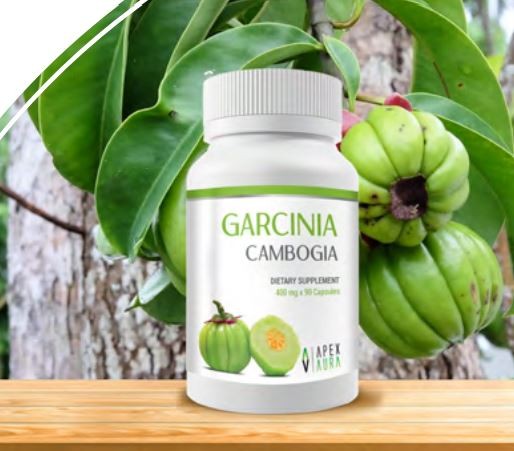 GARCINIA CAMBOGIA DIETARY SUPPLEMENT - 400 mg x 90 Capsules