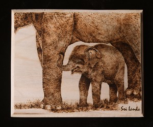 Baby Elephant - Wood Burn Art / Pyrography - GGEL - 00025