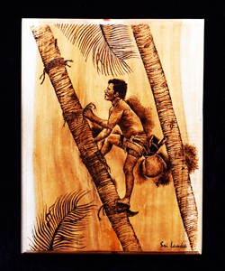 Coconut Toddy Tapper /Wooden Wall Art / Pyrography / Wood Burn Art / GGTT- 00026