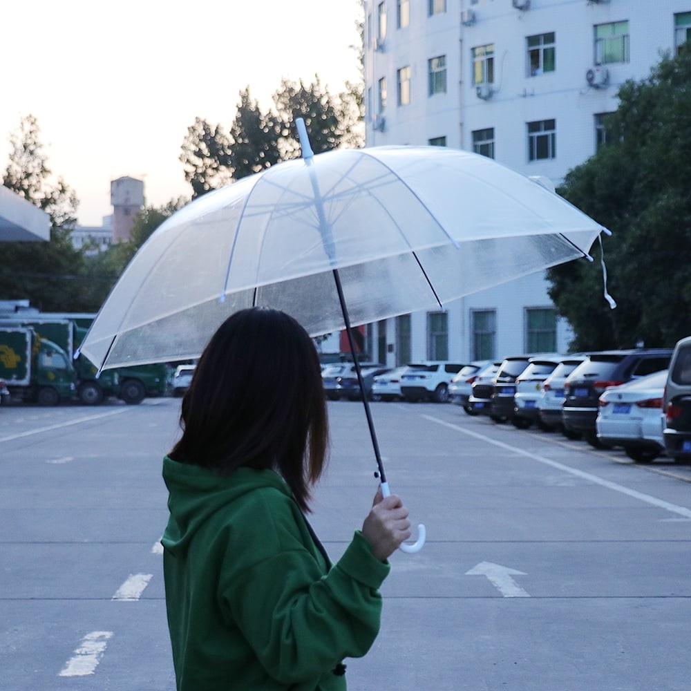 Transparent Umbrella, Long Rain Umbrella