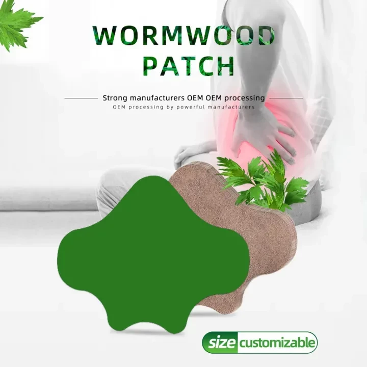 10 Pcs Pain Relief Vertebral Patch