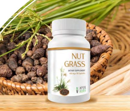 NUT GRASS (CYPERUS ROTUNDUS) DIETARY SUPPLEMENT - 400 mg x 90 Capsules
