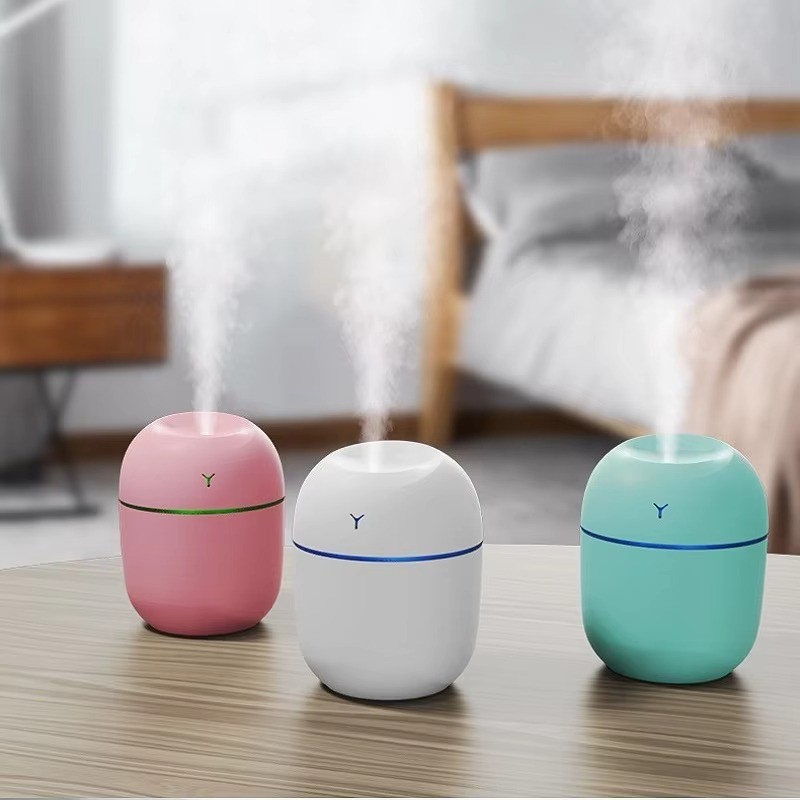 Mini Portable Humidifier - 220ml