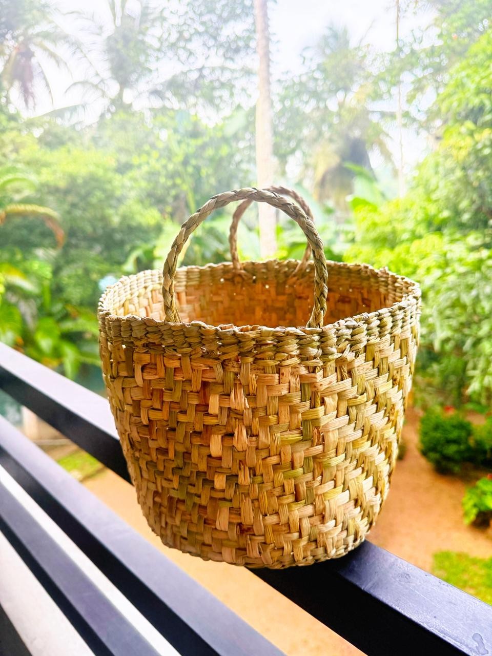 Natural Gallahe Pan Indoor Plant Basket with Handles - Eco-Friendly Sedge Planter