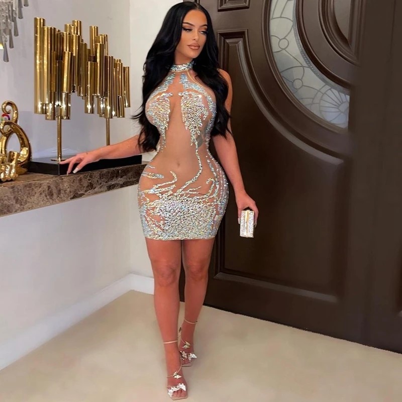 Bodycon Mesh Mini Dress