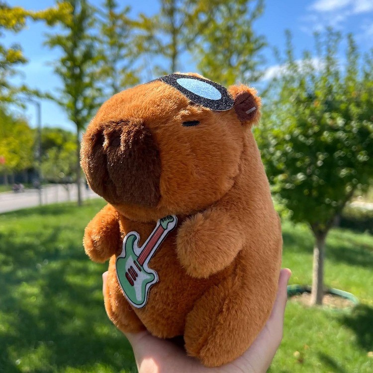1 Pcs Capybara SoftToy - ACD8-6